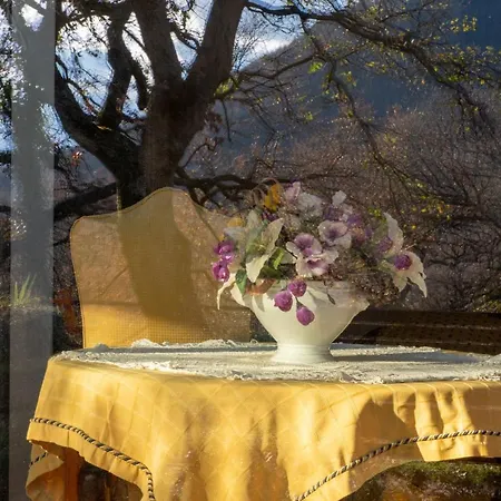 فندق مبيت وإفطار La Chiesuola 3*