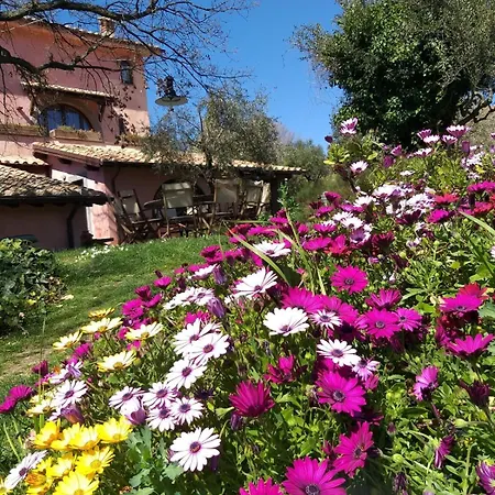 La Chiesuola Bagnaia (Viterbo)