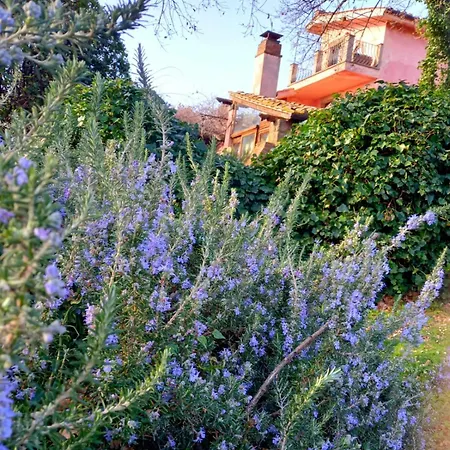 فندق مبيت وإفطار La Chiesuola Bagnaia (Viterbo)